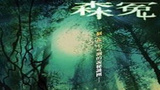 《森冤》海报