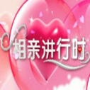 《相亲进行时》栏目海报