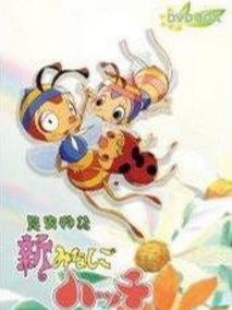 小蜜蜂寻亲记