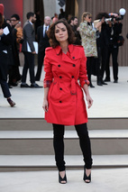 艾莉丝·布拉加 Alice Braga
