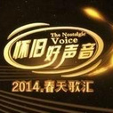 《怀旧好声音》海报