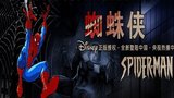 《蜘蛛侠动画片》海报