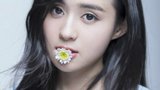 郑合惠子 Hehuizi Zheng 图片