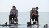 《钢琴木马》剧照