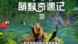 《亚马逊萌猴奇遇记》海报