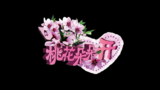 《桃花朵朵开》海报
