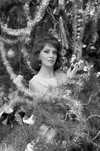 吉娜·劳洛勃丽吉达 Gina Lollobrigida