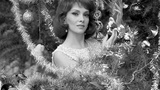 吉娜·劳洛勃丽吉达 Gina Lollobrigida