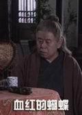 《血红的蝴蝶》海报