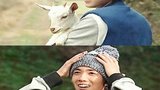 李若彤 Carman Lee 图片