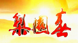 《梨园春》海报