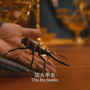 捉妖记