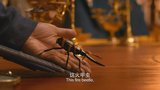 捉妖记