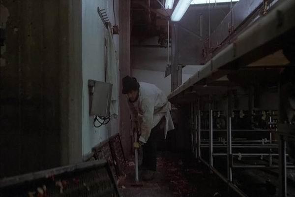 《洛奇Ⅱ》剧照