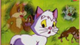 《猫咪小贝》海报