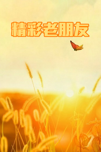 《精彩老朋友》海报