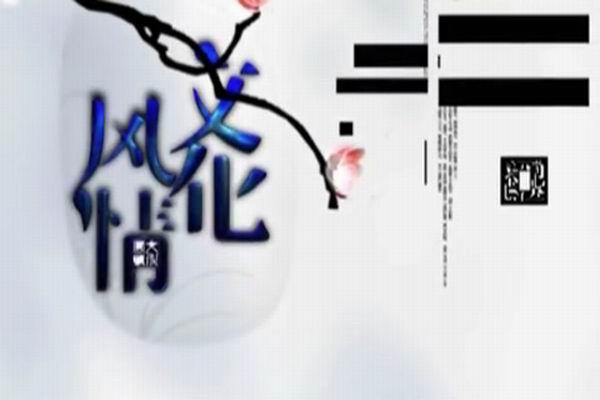《文化风情》海报