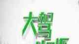 《大驾光临》栏目海报