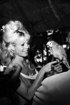 碧姬·芭铎 Brigitte Bardot