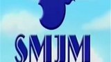 《山猫和吉咪之拼图密码》海报