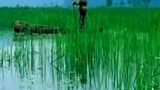 《多彩贵州》剧照