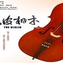 《虎皮枫木》海报