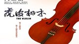 《虎皮枫木》海报