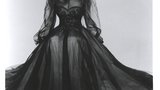 维罗妮卡·莱克 Veronica Lake