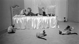 金·诺瓦克 Kim Novak