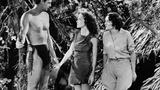 约翰尼·韦斯默勒 Johnny Weissmuller