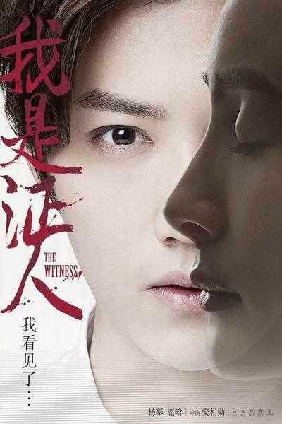 《我是证人》海报