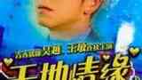 《天地情缘》海报