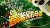 《追踪长尾豹马修》海报