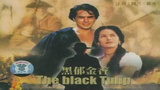 《黑郁金香》海报