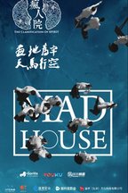 老算
