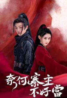 奈何寨主不好当