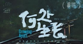 何处生长