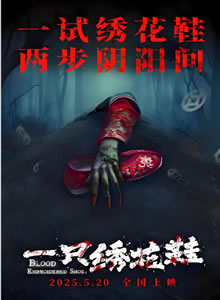 一只绣花鞋