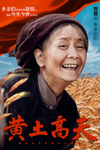 秦家奶奶