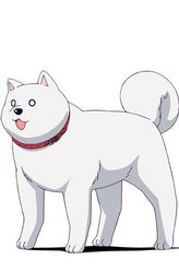 狗