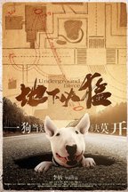 崔洁