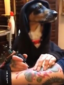 人生赢家