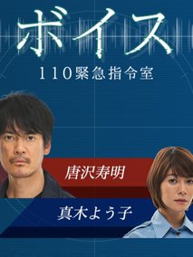 VOICE 110紧急指令室