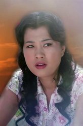 韩大芹