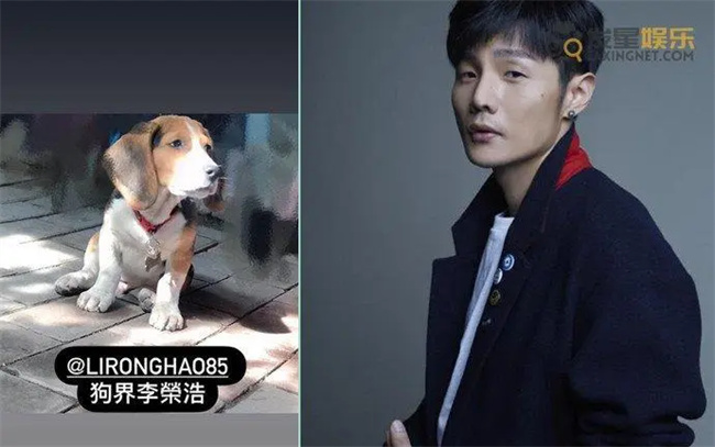 杨丞琳晒狗狗照片cue老公：狗界李荣浩 粉丝不乐意了：眼没这么大